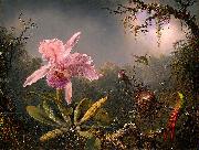 Martin Johnson Heade Cattleya Orchid and Three Brazilian Hummingbirds Spain oil painting artist